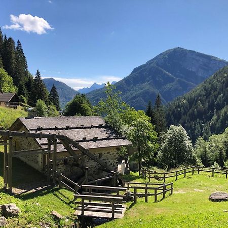 Ronchet Baita Vanoi Trentino Ronco-Chiesa Eksteriør billede